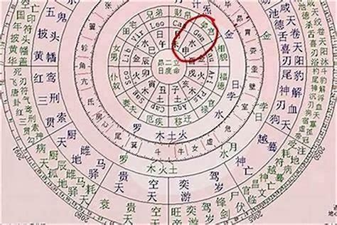 八字 日干|日干算命论命